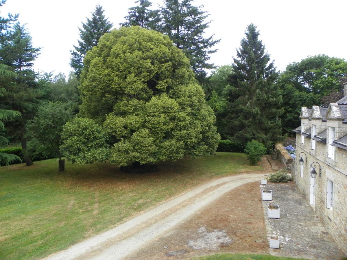 Manoir De Saint-Fiacre Bed & Breakfast Malansac Екстериор снимка